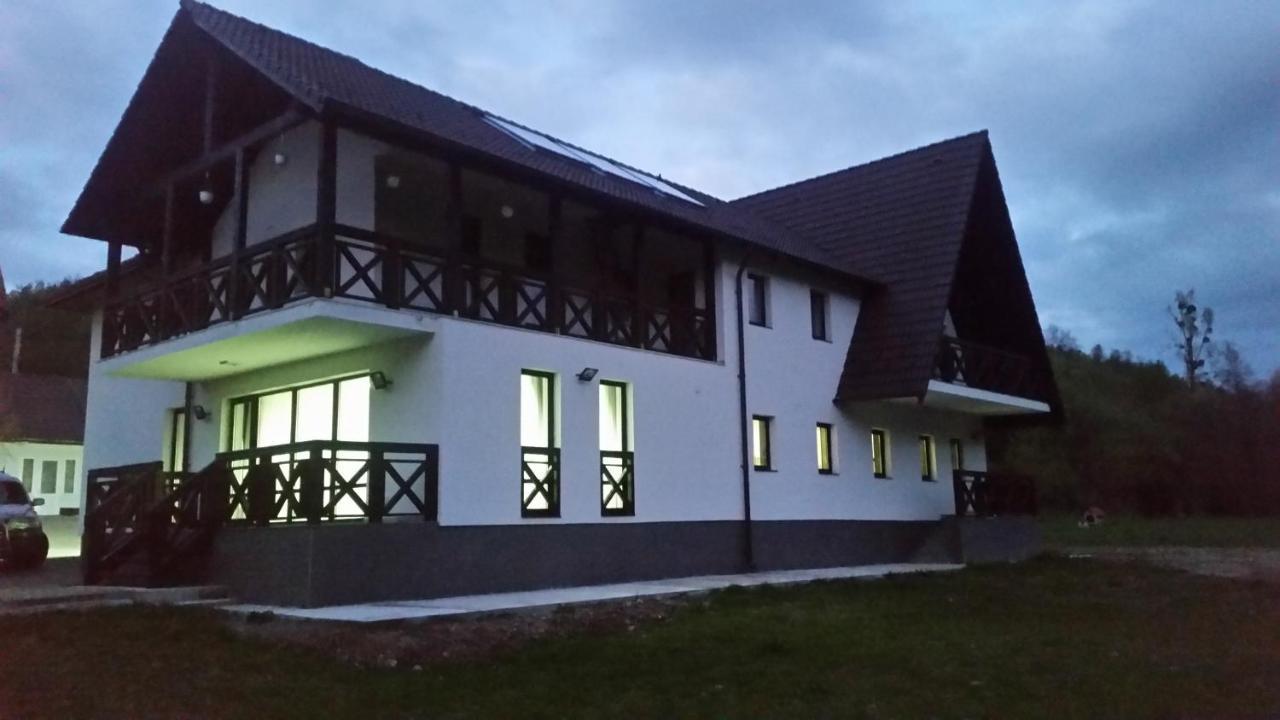 Pensiunea Steaua Nordului Vanatori  Экстерьер фото