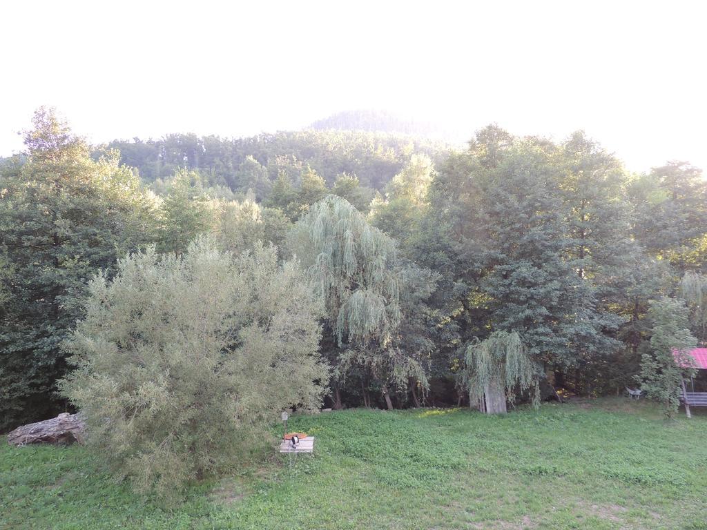 Pensiunea Steaua Nordului Vanatori  Экстерьер фото