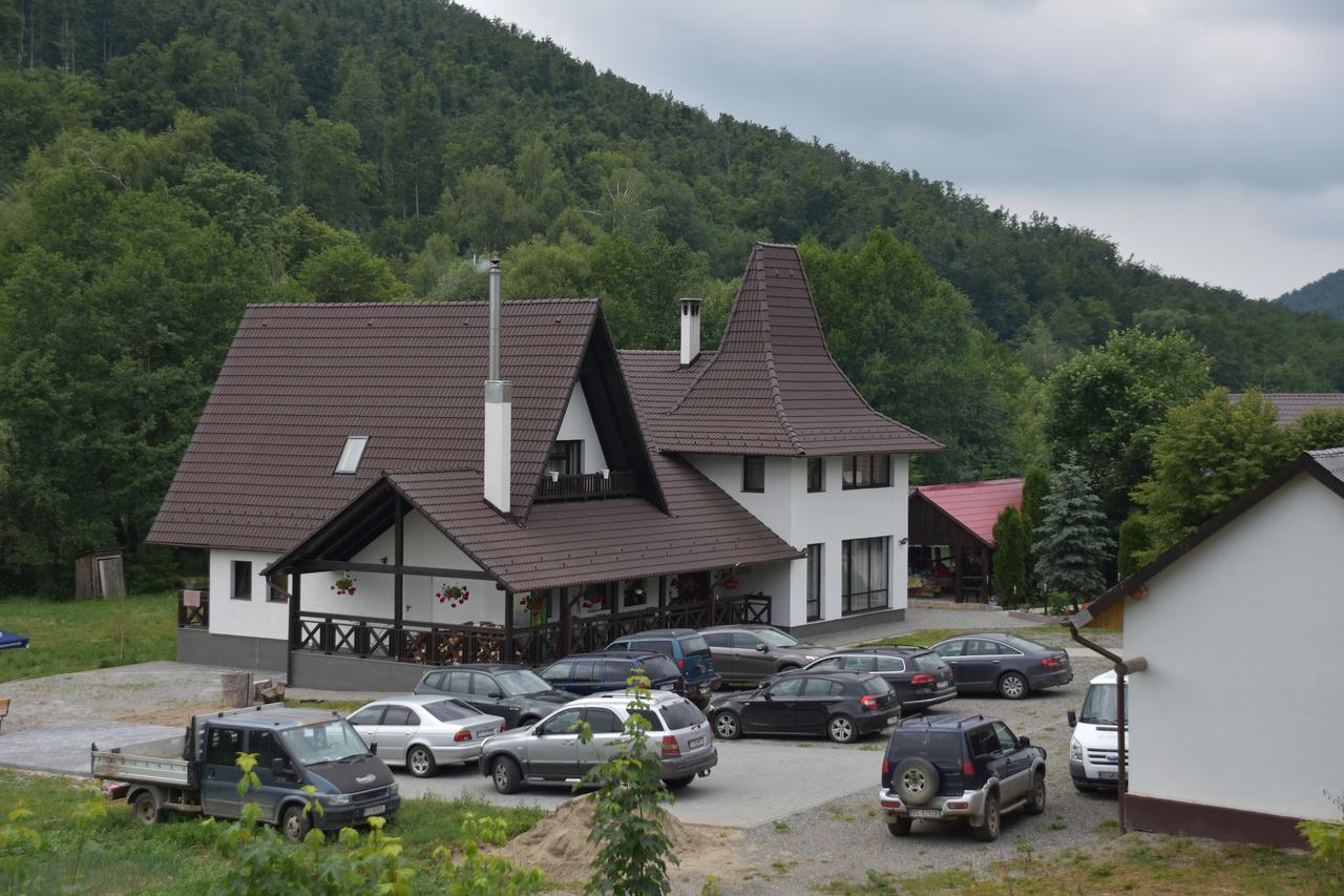 Pensiunea Steaua Nordului Vanatori  Экстерьер фото